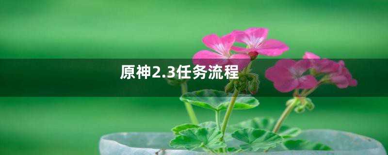原神2.3任务流程