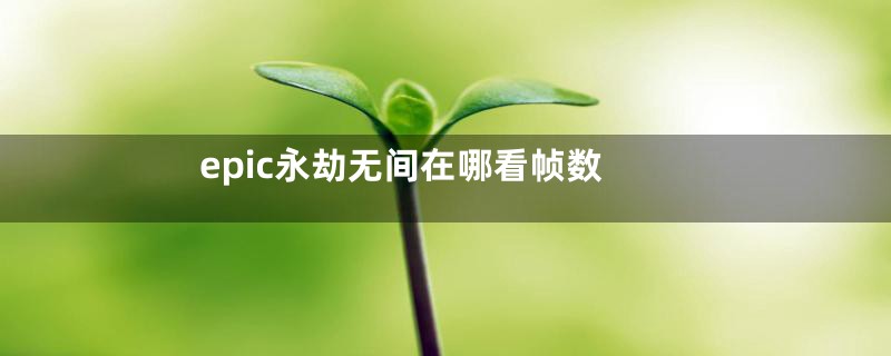 epic永劫无间在哪看帧数