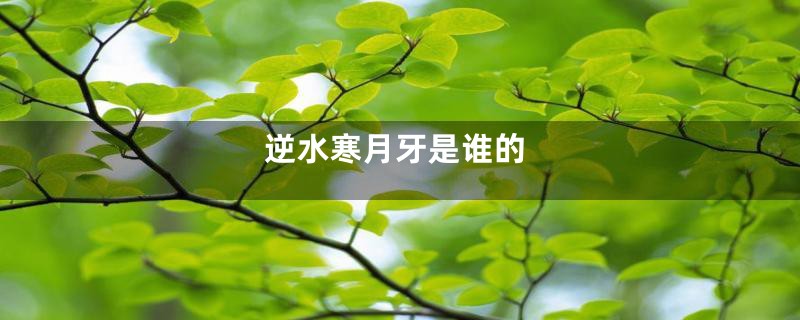 逆水寒月牙是谁的