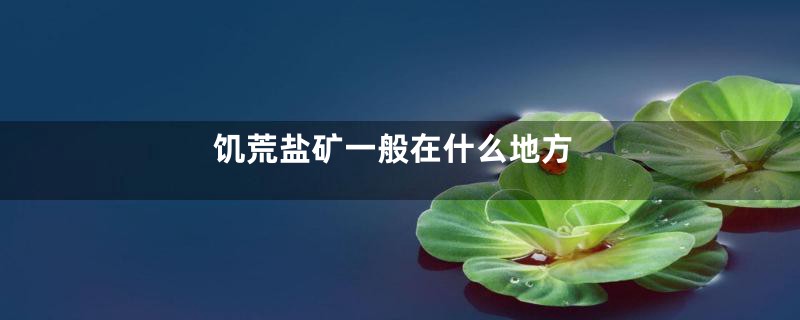 饥荒盐矿一般在什么地方