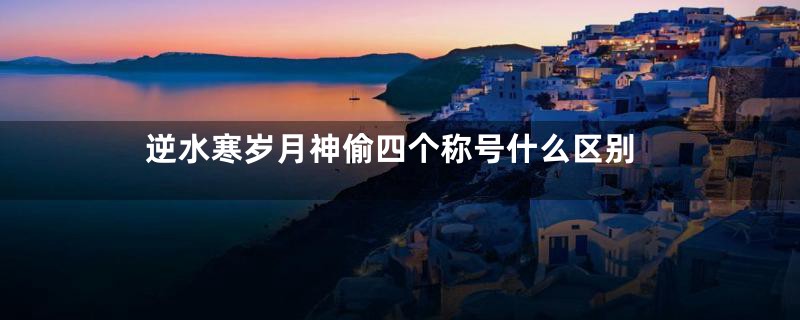 逆水寒岁月神偷四个称号什么区别