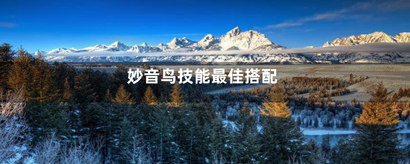 妙音鸟技能最佳搭配