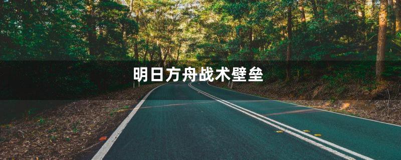 明日方舟战术壁垒