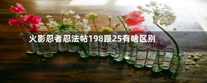 火影忍者忍法帖198跟25有啥区别