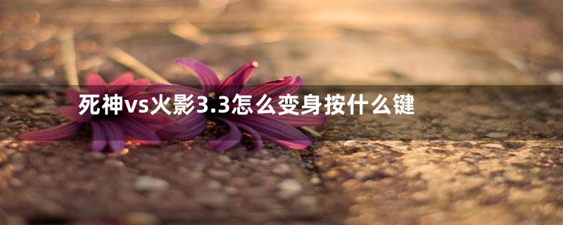 死神vs火影3.3怎么变身按什么键