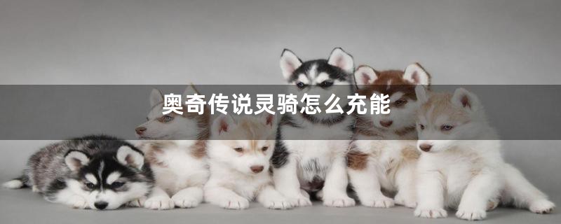 奥奇传说灵骑怎么充能