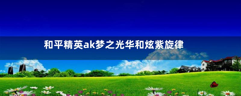 和平精英ak梦之光华和炫紫旋律