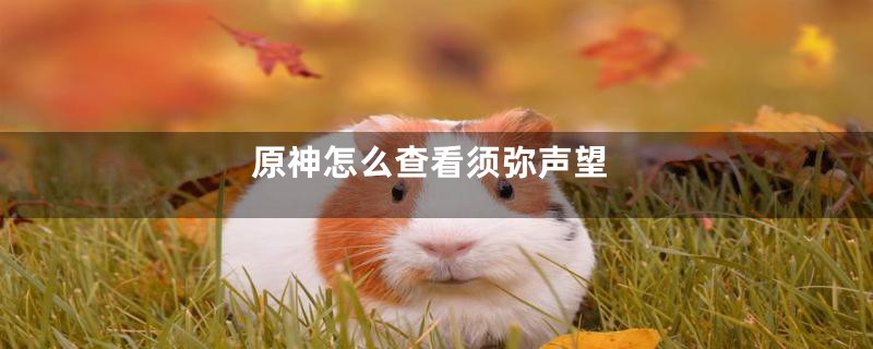 原神怎么查看须弥声望