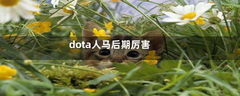 dota人马后期厉害