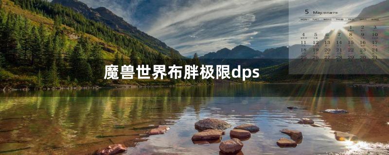 魔兽世界布胖极限dps