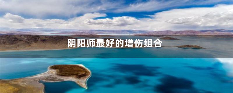 阴阳师最好的增伤组合