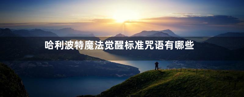 哈利波特魔法觉醒标准咒语有哪些