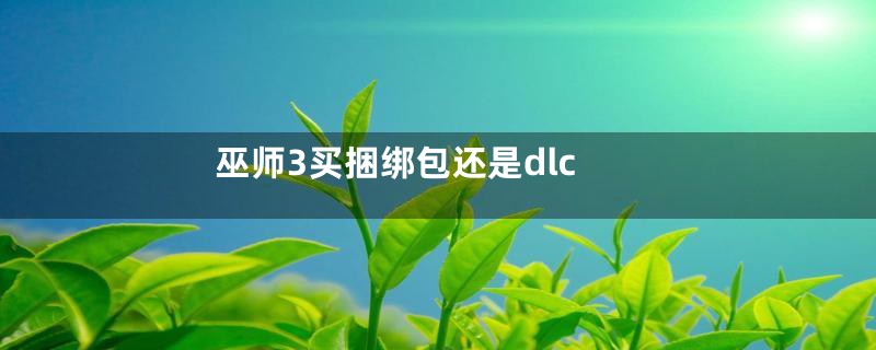 巫师3买捆绑包还是dlc