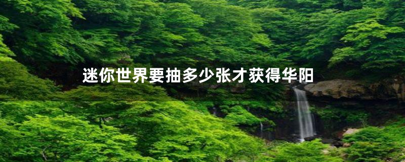 迷你世界要抽多少张才获得华阳