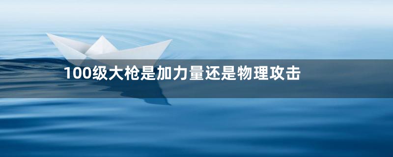 100级大枪是加力量还是物理攻击