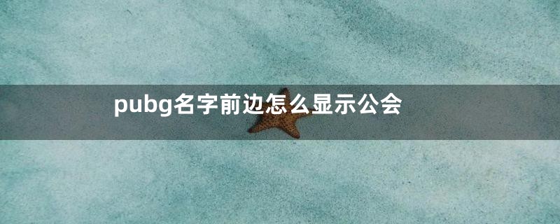 pubg名字前边怎么显示公会