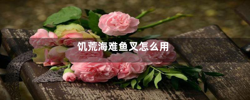 饥荒海难鱼叉怎么用