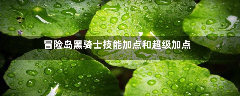 冒险岛黑骑士技能加点和超级加点