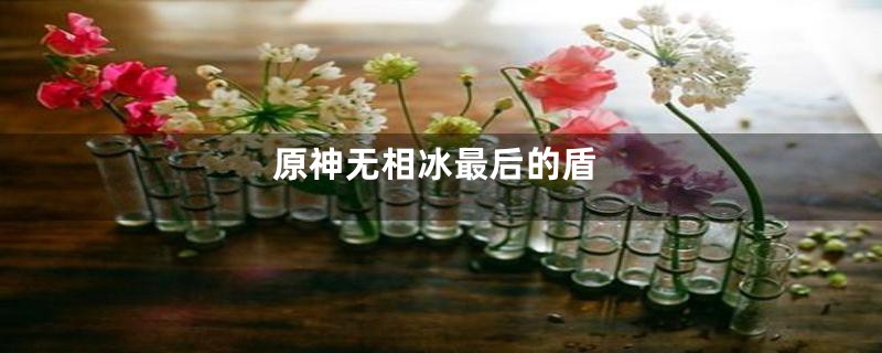 原神无相冰最后的盾