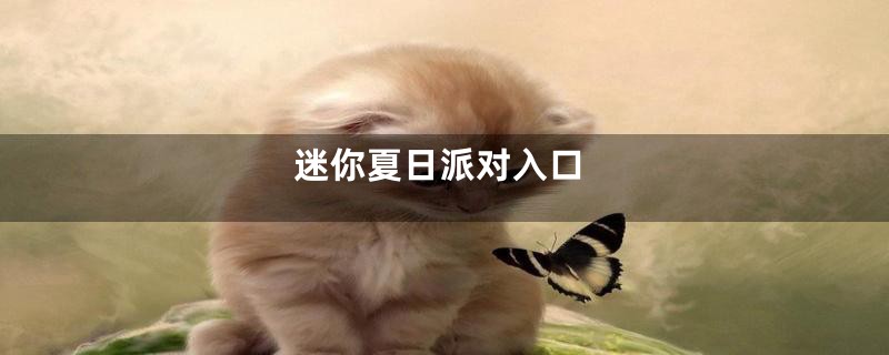 迷你夏日派对入口