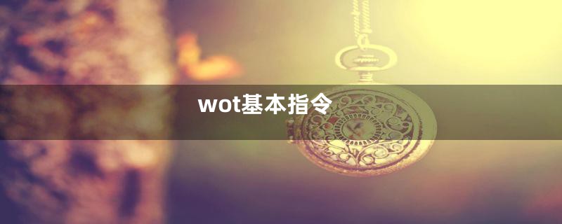 wot基本指令