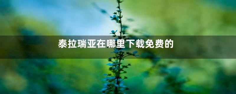 泰拉瑞亚在哪里下载免费的