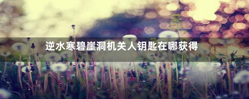 逆水寒碧崖洞机关人钥匙在哪获得