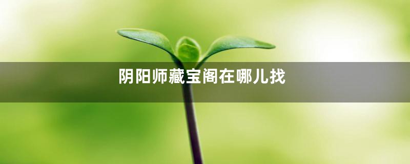 阴阳师藏宝阁在哪儿找