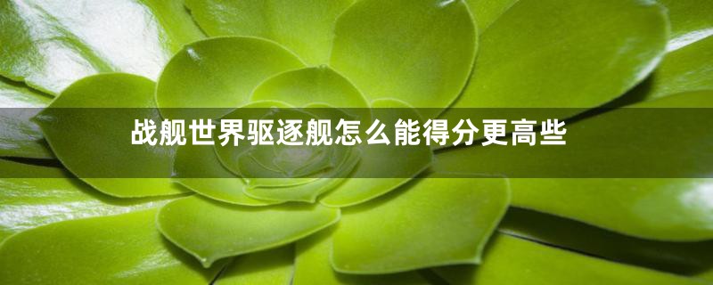 战舰世界驱逐舰怎么能得分更高些