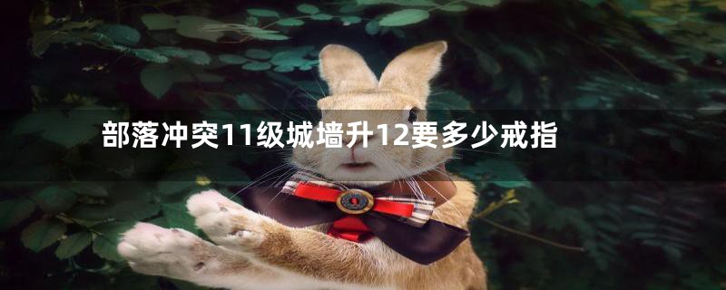 部落冲突11级城墙升12要多少戒指