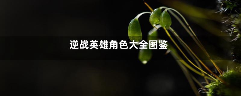 逆战英雄角色大全图鉴