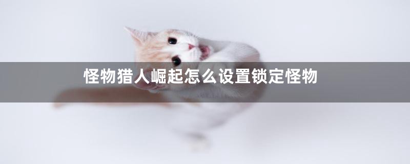 怪物猎人崛起怎么设置锁定怪物