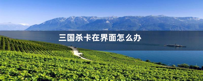 三国杀卡在界面怎么办