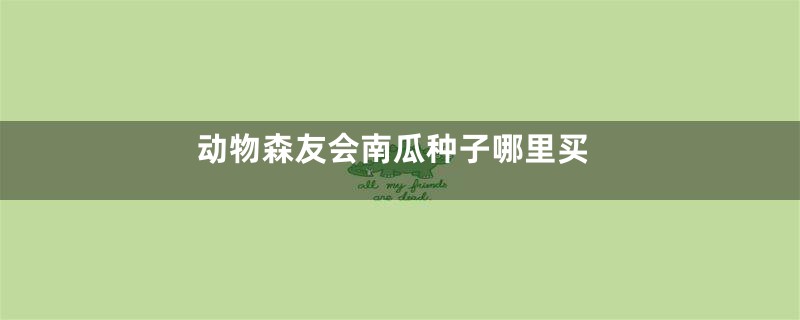 动物森友会南瓜种子哪里买