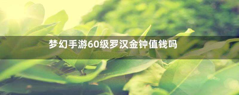 梦幻手游60级罗汉金钟值钱吗