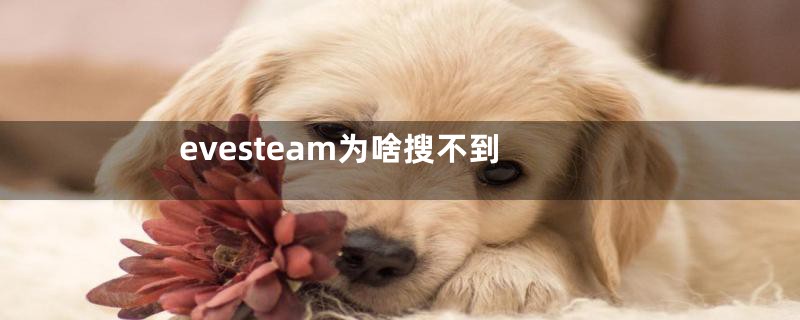 evesteam为啥搜不到