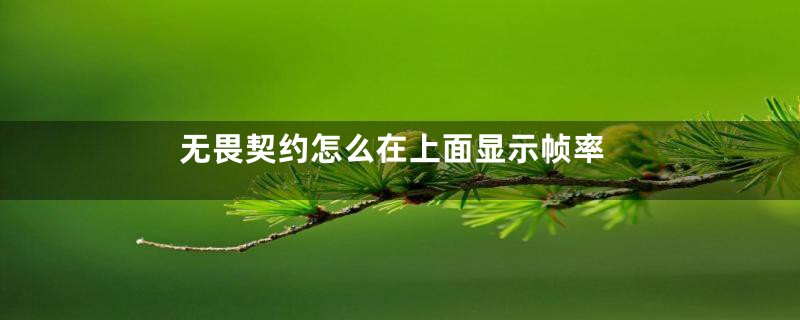 无畏契约怎么在上面显示帧率