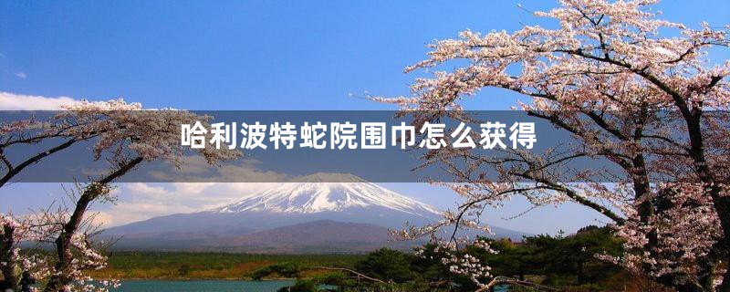 哈利波特蛇院围巾怎么获得