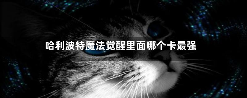 哈利波特魔法觉醒里面哪个卡最强