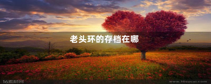 老头环的存档在哪