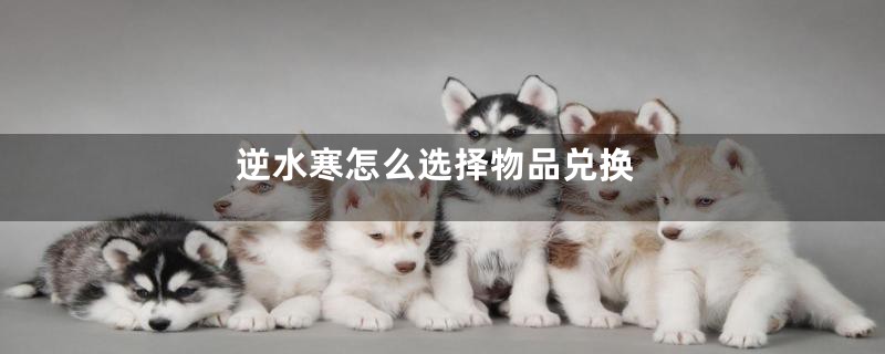 逆水寒怎么选择物品兑换