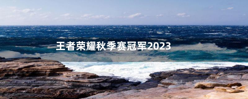 王者荣耀秋季赛冠军2023