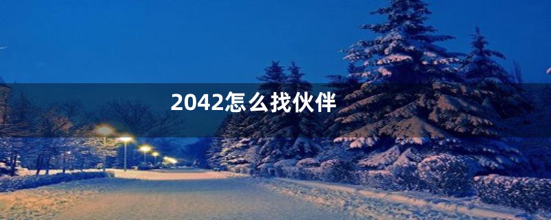 2042怎么找伙伴