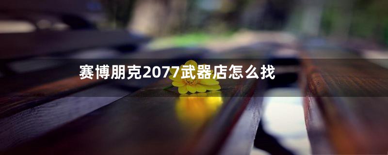赛博朋克2077武器店怎么找