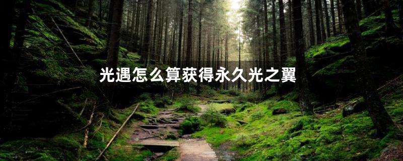 光遇怎么算获得永久光之翼