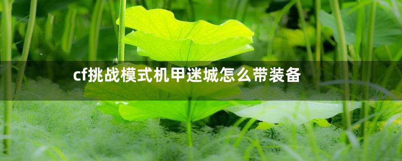 cf挑战模式机甲迷城怎么带装备