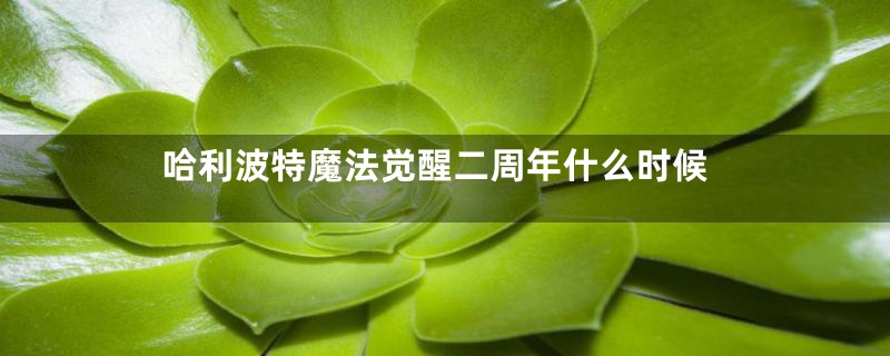哈利波特魔法觉醒二周年什么时候