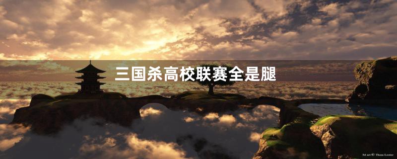 三国杀高校联赛全是腿