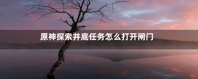 原神探索井底任务怎么打开闸门