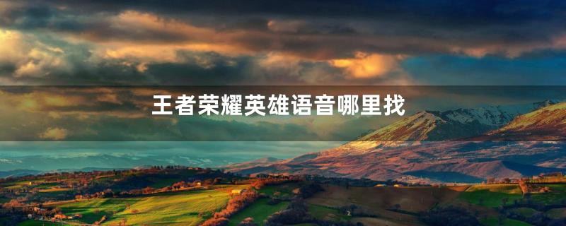 王者荣耀英雄语音哪里找